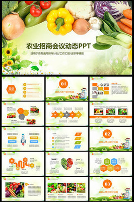 绿色生态农业招商农产品PPT