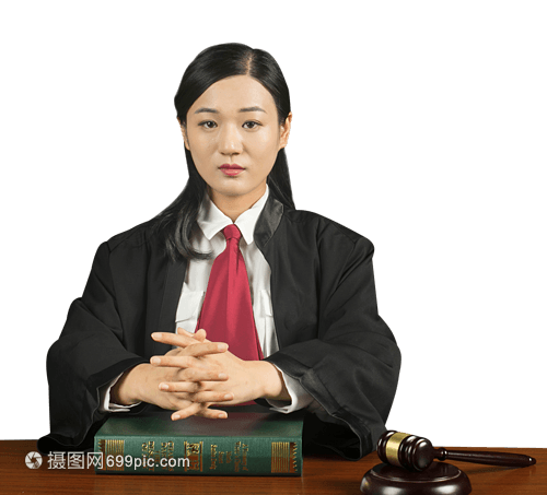 职业女律师