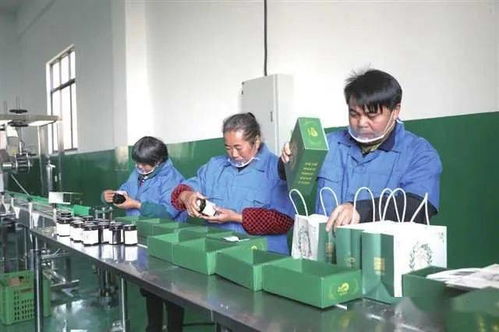 重庆 人社扶贫 托起稳稳的幸福