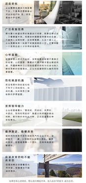 虹口区执业律师代理专业的律师团队