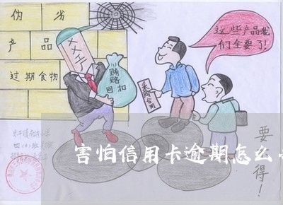 害怕卡逾期怎么办-卡逾期怎么办