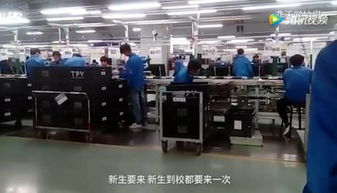 云南职校生被 卖身 当苦工,不实习不给毕业 学校月入20万元